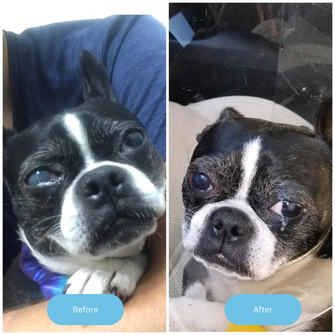 Sorvala ClearVision™ Drops